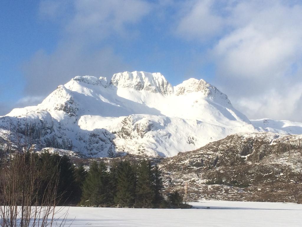 Sjohaug Rorbu * Moskenes
